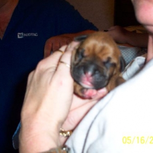 Jaizlin just born