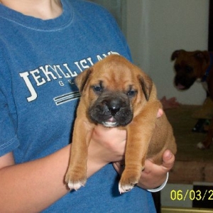 Jaizlin 3 weeks