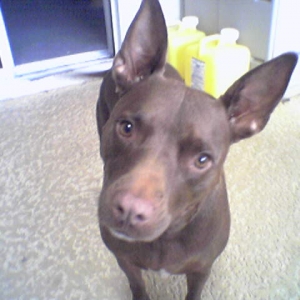 My Chocolate Love!