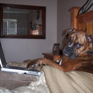Oscar Working From Home