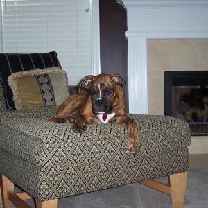 Oscar Relaxing