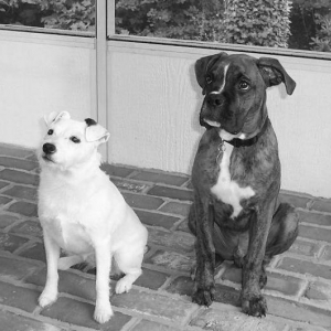 Oscar and His Best Friend, Sophie