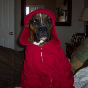 Phone Home...