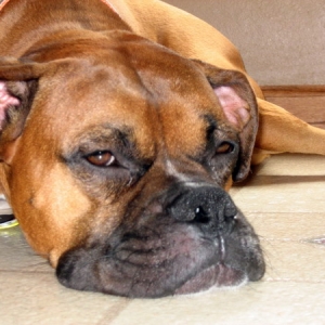 So tired