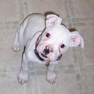 Baby Ellie