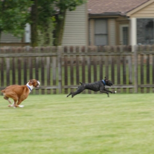 Catch me if you can