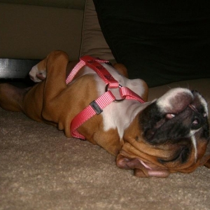 Crashed