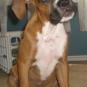 Who.... me???
