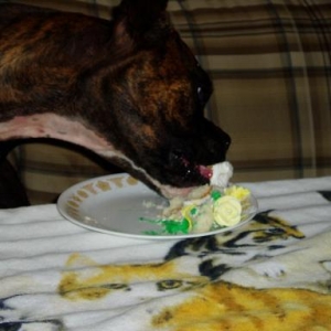 Birthday Cake