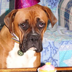 Birthday Girl