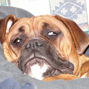 Yes I am comfy!!