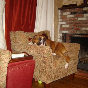 Butch's favorite chair
