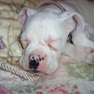 I love my blankie