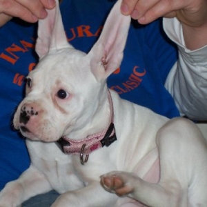 My ears!