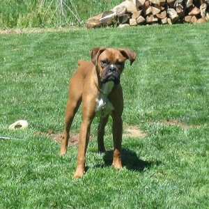 Stonewall Jackson