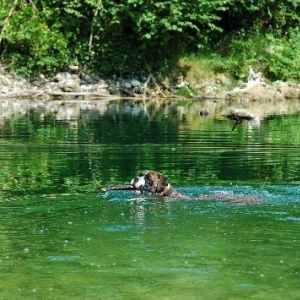Swimming well