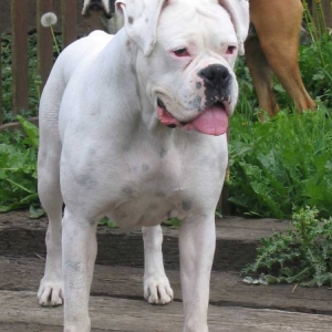 Abby & Tyson