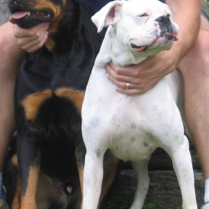Abby & Crash