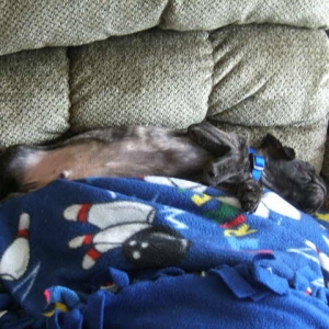 Tyson Couch