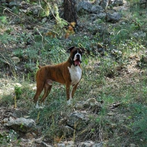 Hiking