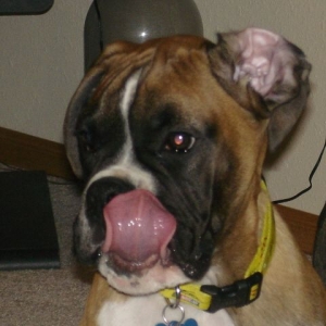 Mmm...that tasted good.