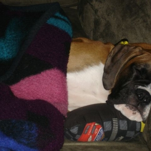 All snuggled in...