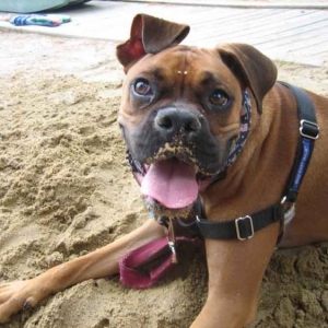 Just relaxing on the beach after digging