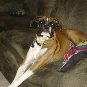You talking to me?