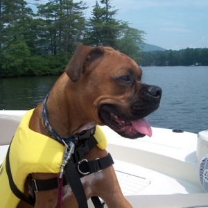 First Mate