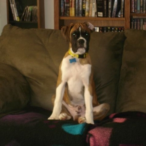 King of the couch