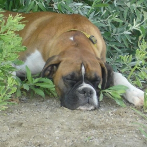 Nap time