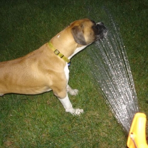 I'm thirsty