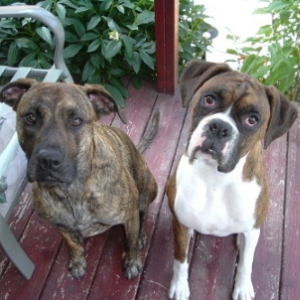Lady & Buster June 2006