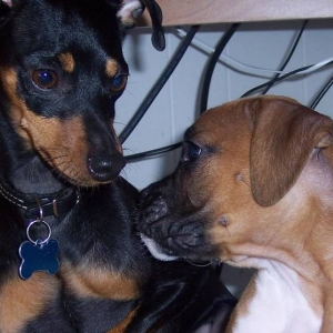 Trooper & Bella