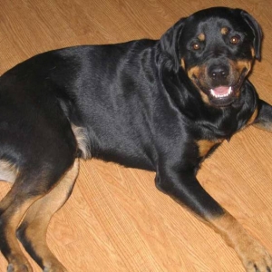 What a happy boy
