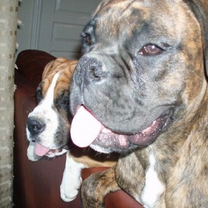my two babies