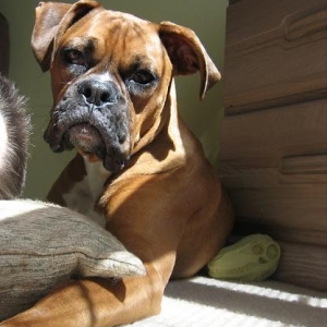 Catching some rays