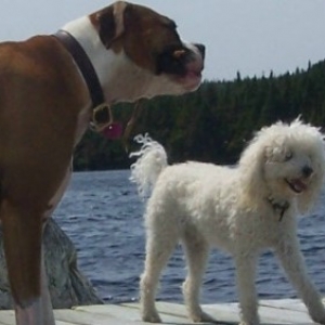 Ali & Bailey enjoying the day at the cabin