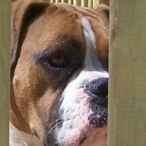 Ali lies on the deck keeping watch