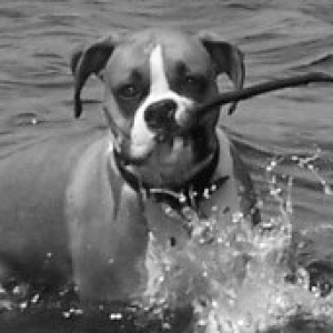 Ali bringing in a big stick