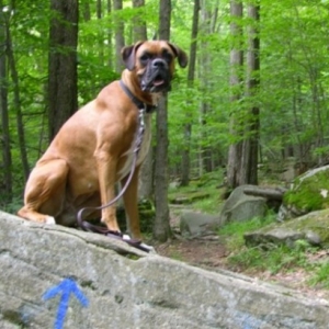 Hiking