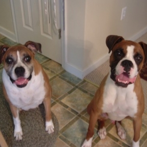 Semmi and Oscar