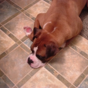 Oscar worn out