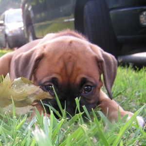 So Cute