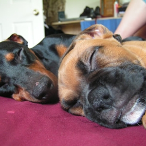 Nap Time..
