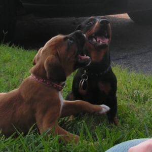 My babies..