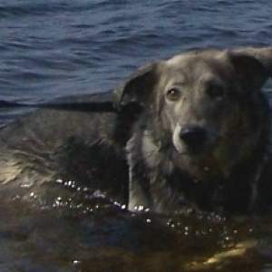 Cooling_off