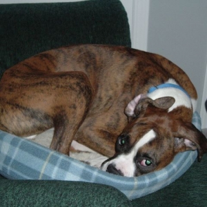 Tyson At 10 Months