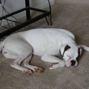 Payton Sleeping