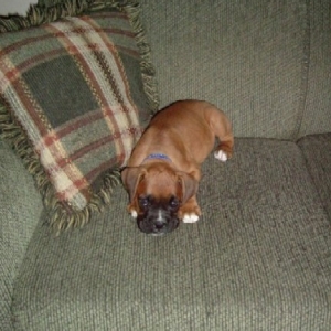 First Day Home